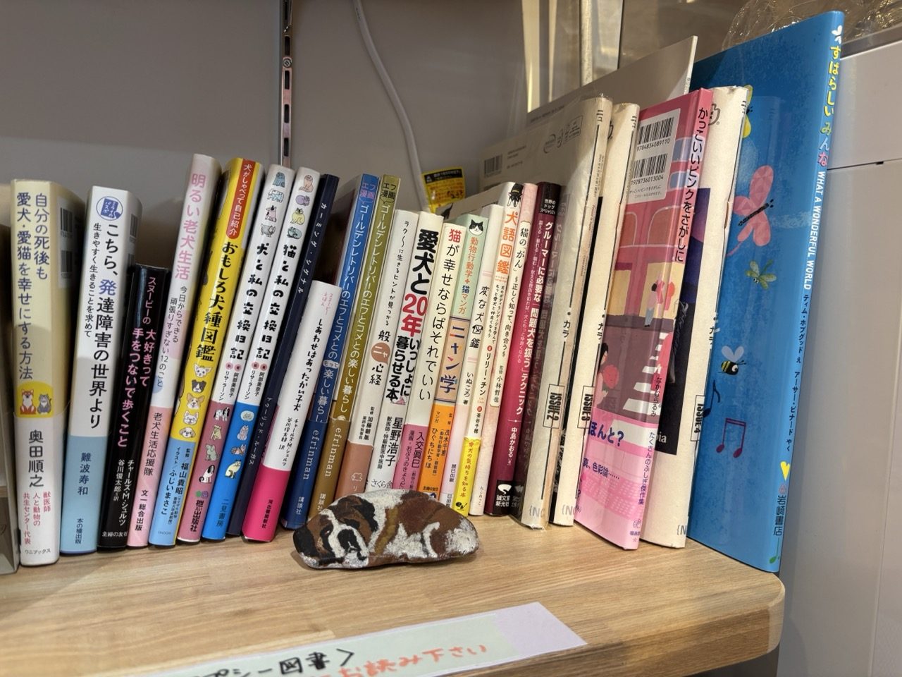 店内の本棚